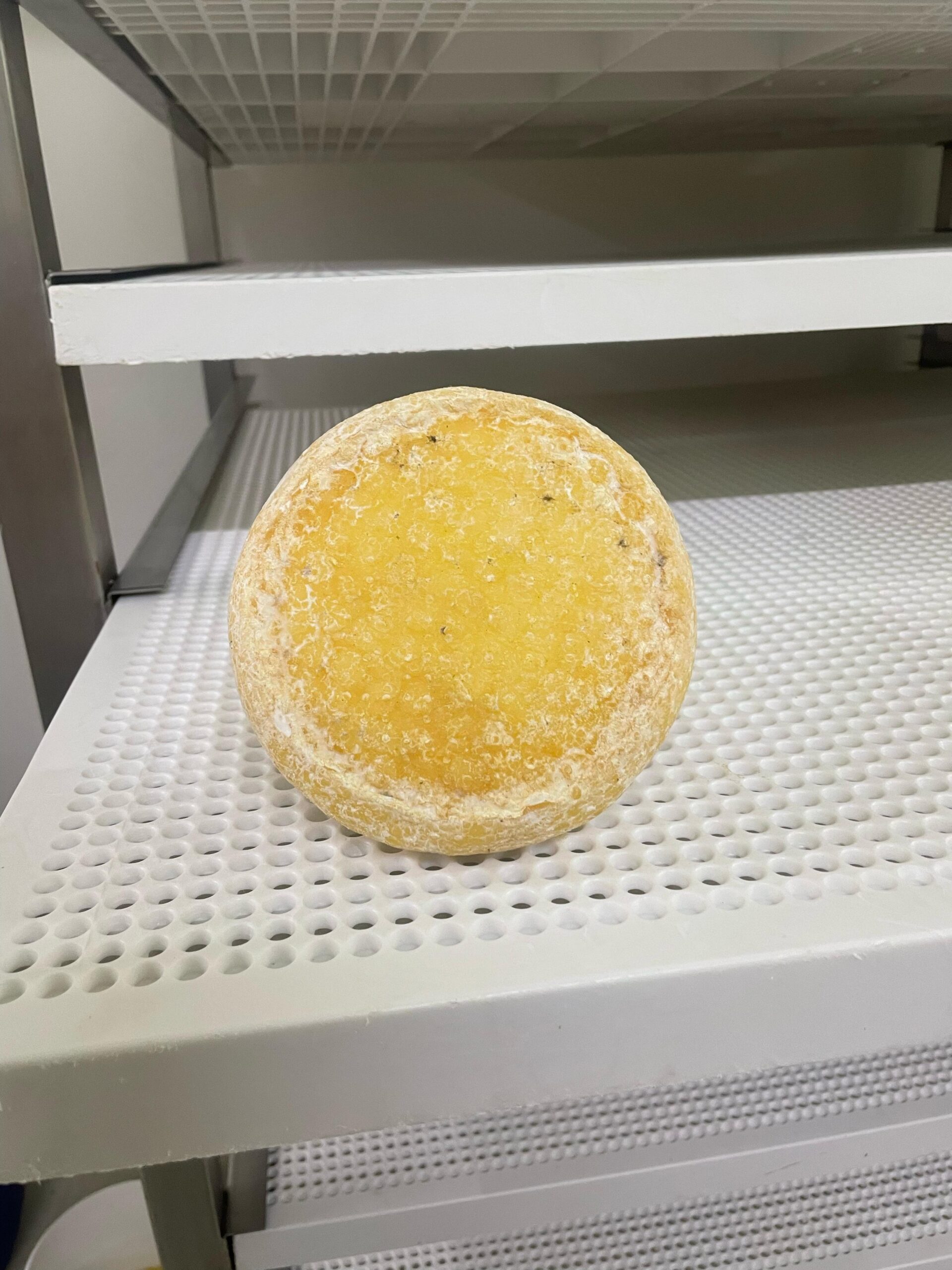 Formagella Morbida - immagine 3