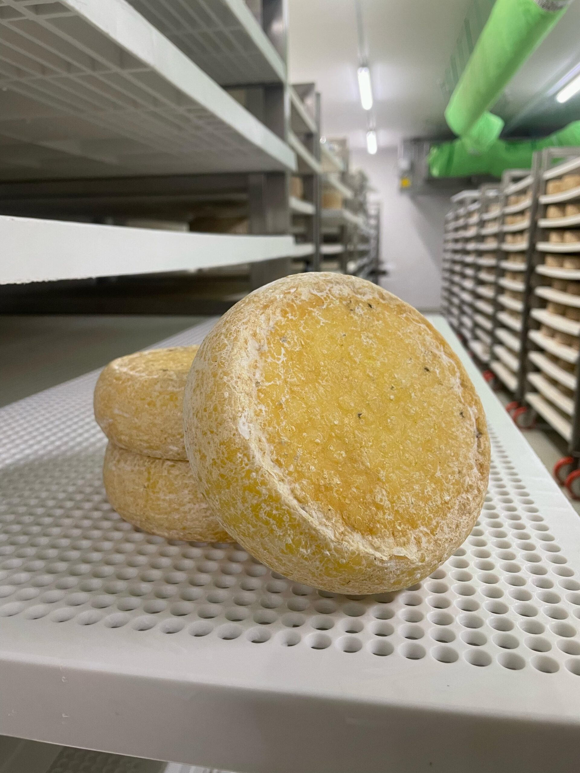 Formagella Morbida - immagine 2